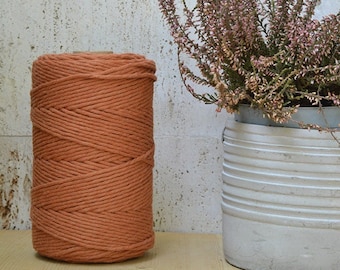 Corde en coton 3 mm, taba, simple brin, 200 mètres (218 ans), 100 % coton pour macramé, tissage, crochet, tricot, fil de fibres naturelles