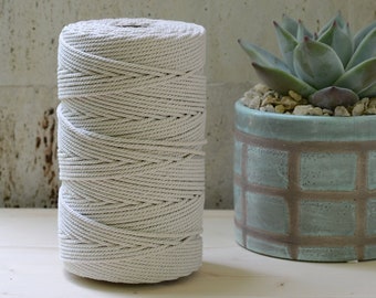 Può includere: Un rotolo di corda di cotone di colore naturale, avvolto strettamente, si trova su una superficie di legno chiaro. Una piccola pianta grassa in vaso con foglie verdi è sullo sfondo.