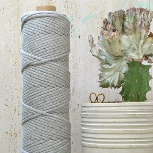 Könnte beinhalten: Eine Rolle graue Baumwollschnur, fest gewickelt, steht auf einem Tisch neben einem weißen Keramiktopf mit einer grün-weißen Sukkulente.