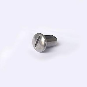 May include: A single, silver-colored screw with a slotted head and a hexagonal body. The screw is made of metal and is set against a plain white background. The head is round and slightly domed.