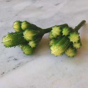 Peut inclure: Gros plan sur une tige de cactus artificielle verte et jaune. Le cactus a une surface texturée avec de petites protubérances épineuses. Les pointes du cactus sont jaune vif, tandis que le reste de la plante est vert vif.
