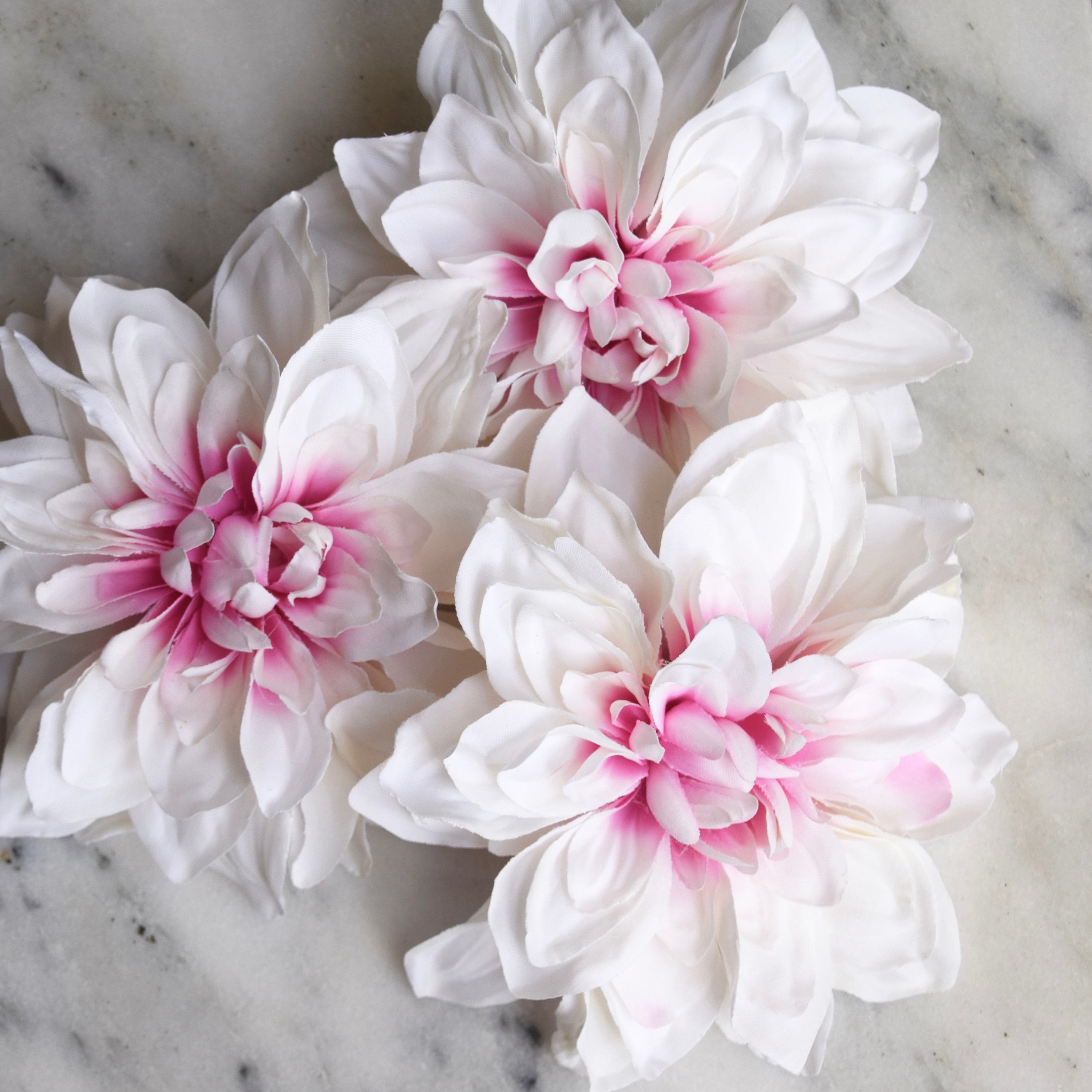 Dahlia rose clair - lot de trois, mariage Dahlia, Dahlia bicolore, têtes de Dahlia, rose et blanc Dahlia, mariage Dahlia, Dahlia Decor Dahlia rose clair mariage - lot de trois, mariage clair Dahlia, Dahlia bicolore, têtes de Dahlia, rose et blanc Dahlia, mariage Dahlia, Dahlia Decor 6e0d72