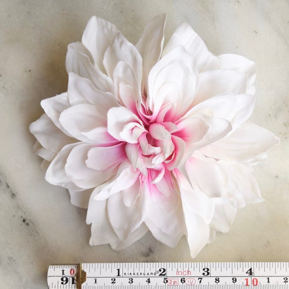 Dahlia rose clair mariage - lot de trois, mariage clair Dahlia, Dahlia bicolore, têtes de Dahlia, rose et blanc Dahlia, mariage Dahlia, Dahlia Decor 6e0d72 Dahlia rose clair mariage - lot de trois, mariage clair Dahlia, Dahlia bicolore, têtes de Dahlia, rose et blanc Dahlia, mariage Dahlia, Dahlia Decor 6e0d72