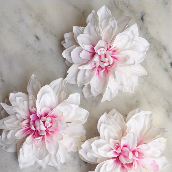 Dahlia rose clair mariage - lot de trois, mariage clair Dahlia, Dahlia bicolore, têtes de Dahlia, rose et blanc Dahlia, mariage Dahlia, Dahlia Decor 6e0d72 Dahlia rose clair mariage - lot de trois, mariage clair Dahlia, Dahlia bicolore, têtes de Dahlia, rose et blanc Dahlia, mariage Dahlia, Dahlia Decor 6e0d72