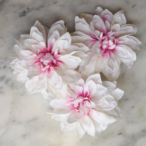 Dahlia rose clair mariage - lot de trois, mariage clair Dahlia, Dahlia bicolore, têtes de Dahlia, rose et blanc Dahlia, mariage Dahlia, Dahlia Decor 6e0d72 Dahlia rose clair mariage - lot de trois, mariage clair Dahlia, Dahlia bicolore, têtes de Dahlia, rose et blanc Dahlia, mariage Dahlia, Dahlia Decor 6e0d72