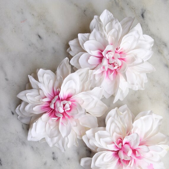 Dahlia rose clair mariage - lot de trois, mariage clair Dahlia, Dahlia bicolore, têtes de Dahlia, rose et blanc Dahlia, mariage Dahlia, Dahlia Decor 6e0d72 Dahlia rose clair mariage - lot de trois, mariage clair Dahlia, Dahlia bicolore, têtes de Dahlia, rose et blanc Dahlia, mariage Dahlia, Dahlia Decor 6e0d72