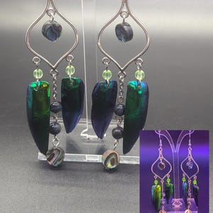 May include: A pair of handcrafted earrings with a silver-tone metal design. Each earring features a teardrop-shaped iridescent beetle wing, green and black beads, and a small abalone shell. The earrings are displayed on a clear stand.