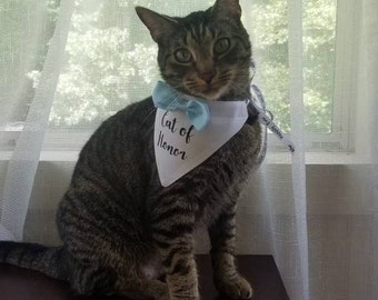 cat ring bearer outfit