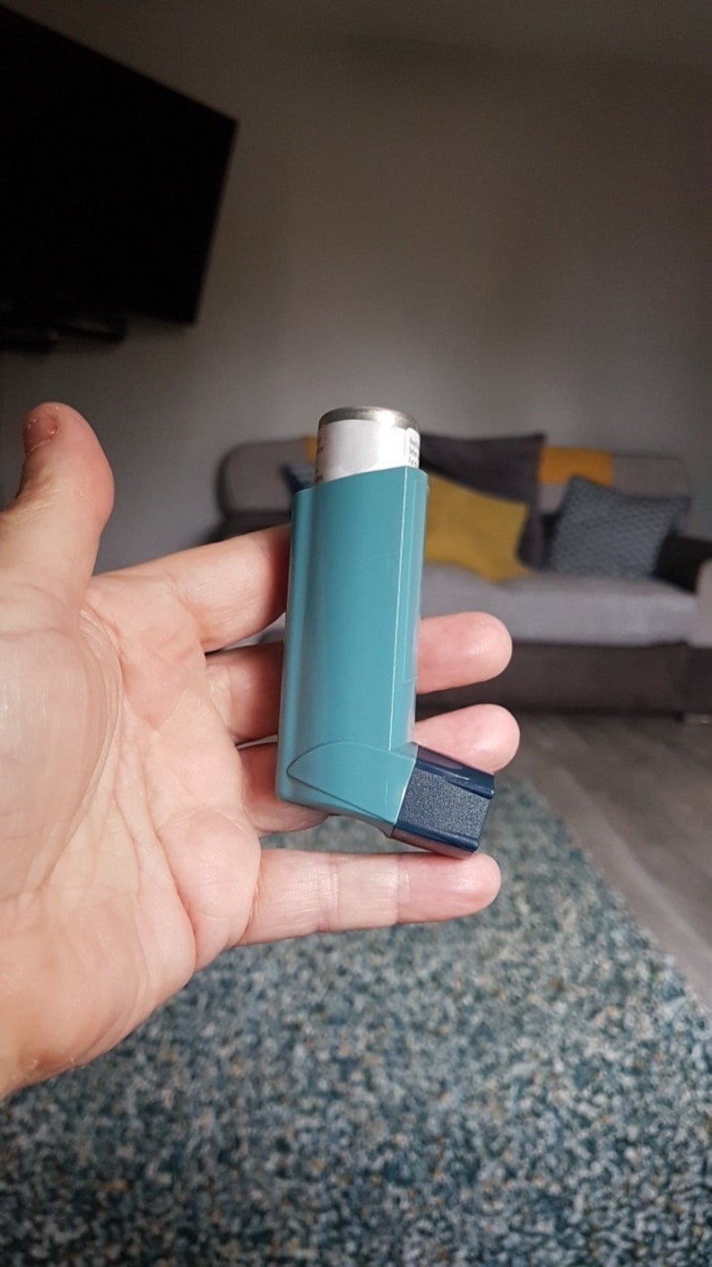 Asthma Inhaler Case Spider Inhaler Holder Kitty Cat Inhaler Etsy