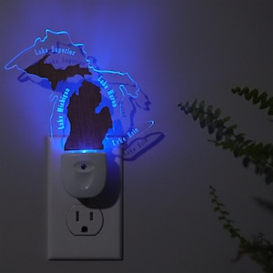 Michigan Outline RGB Night Light