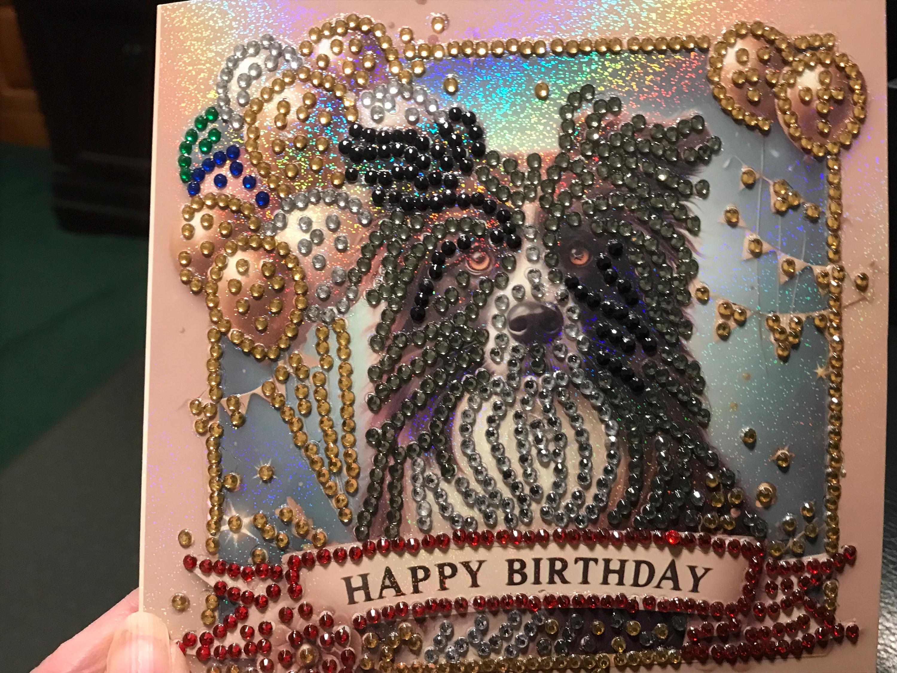 Men’s Beaded Border Collie Birthday Card Sparkle Card Teenage Girls or Boy’s Dog  Card, Men or Women's Birthday Card Unique Beaded Card