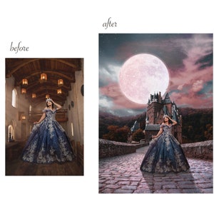 May include: A woman in a blue and silver gown with a crown stands on a stone bridge in front of a castle. The sky is pink and purple with a large, pink moon in the background.