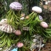 see more listings in the Air Plant Jellyfish section