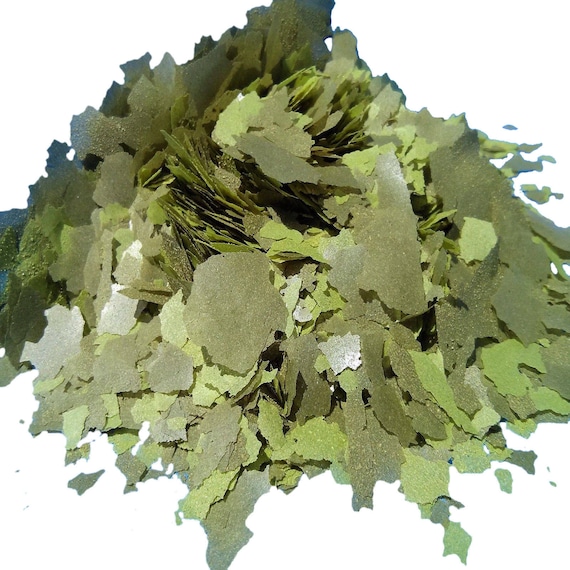 Bulk tropical fish cheap