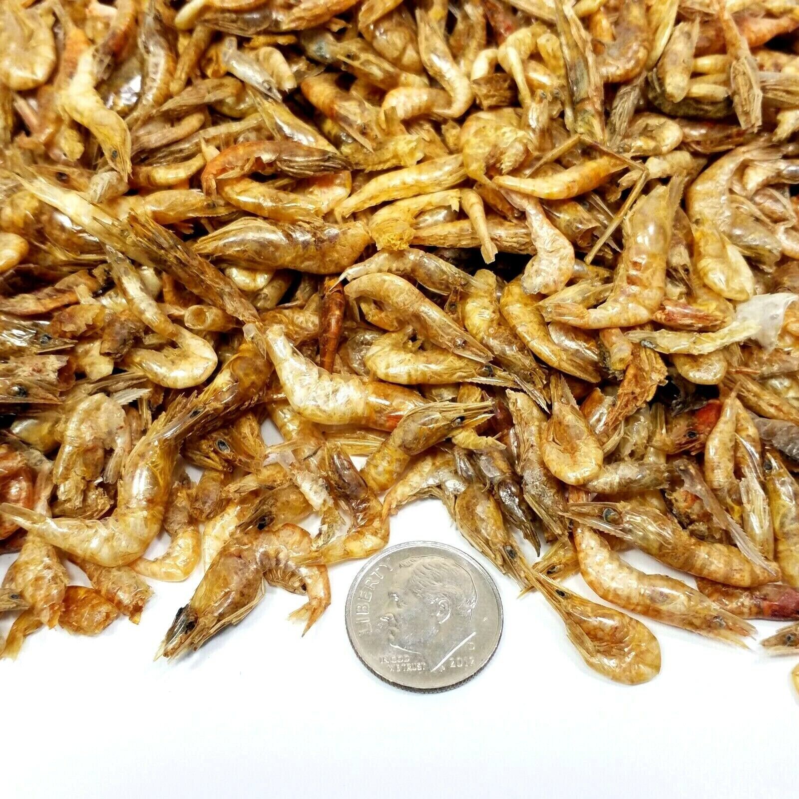 Are Dried Red Shrimp Beneficial for Koi Fish? Koi Seller