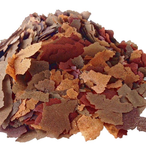 tropical fish food bulk