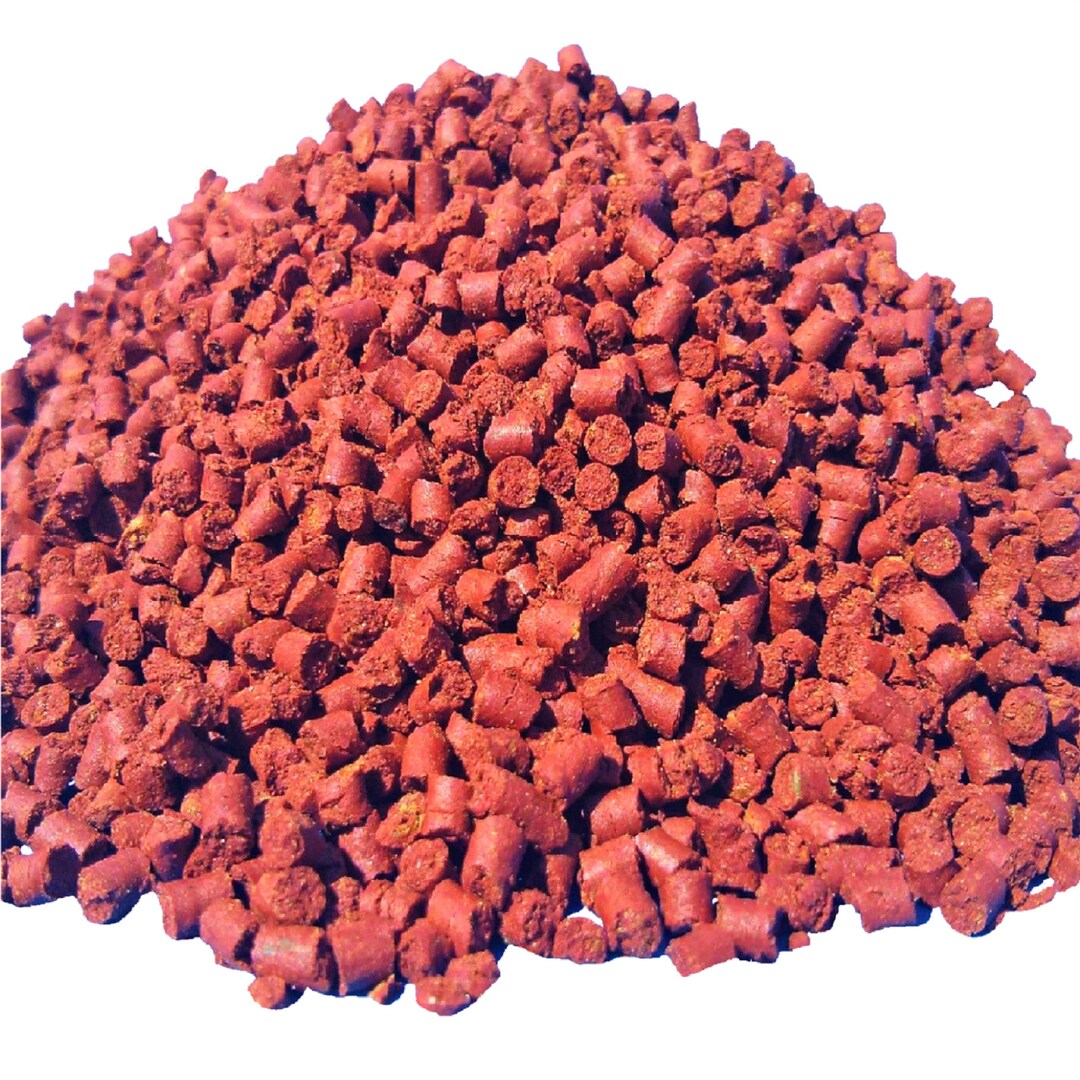 Beef Heart Mix Baby Bits for Discus Cichlids Bottom Fish Etsy