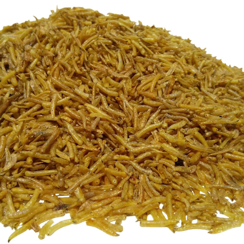 White Worms Freeze Dried Great for Smaller Tropicals and Etsy