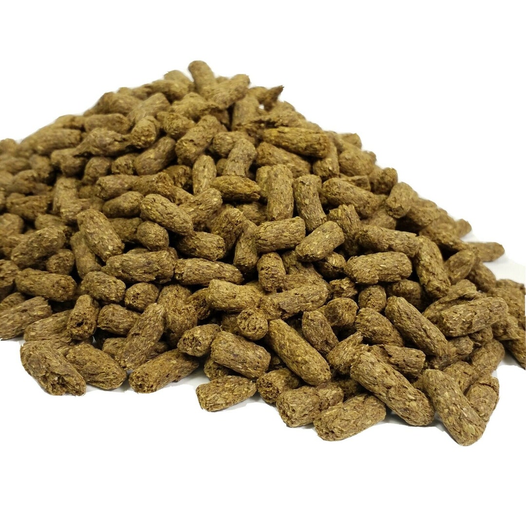 Tortoise Food Pellets A Hilarious Guide to Reptilian Grub Tortoise Food Pellets A Hilarious Guide to Reptilian Grub