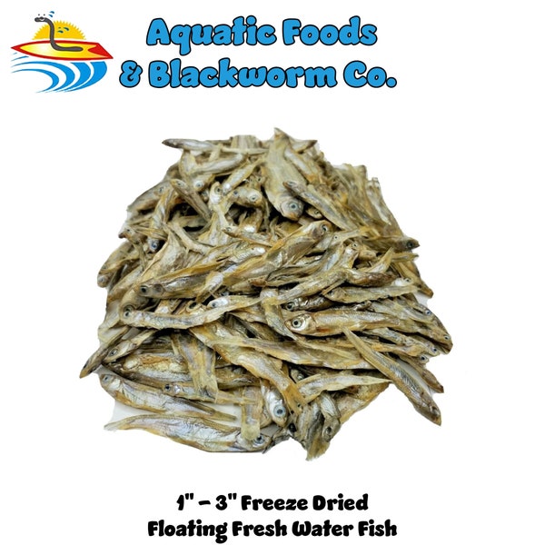 Fresh Water Fish Freeze Dried 1"- 3" Perfect for Large Fish, Turtles