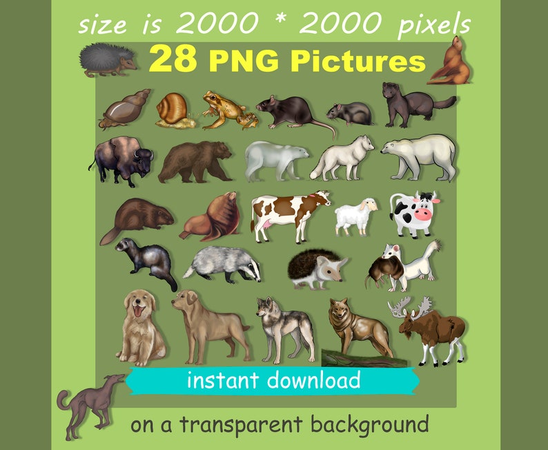 Download Png 300pdi Wild Animals Animals Of Africa Instant Etsy