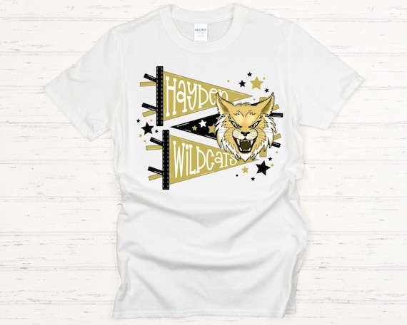 Hayden Wildcats Pennant Flag Mascot Transfer Sheet