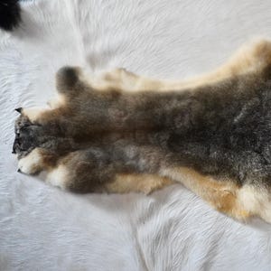 The Softest Fur Ever - A Tasmanian Possum Fur Pelt - Wild & Wonderful - From the Island at the End of the World