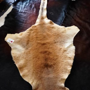 A Naturally Beautiful Australian Kangaroo Skin Rug