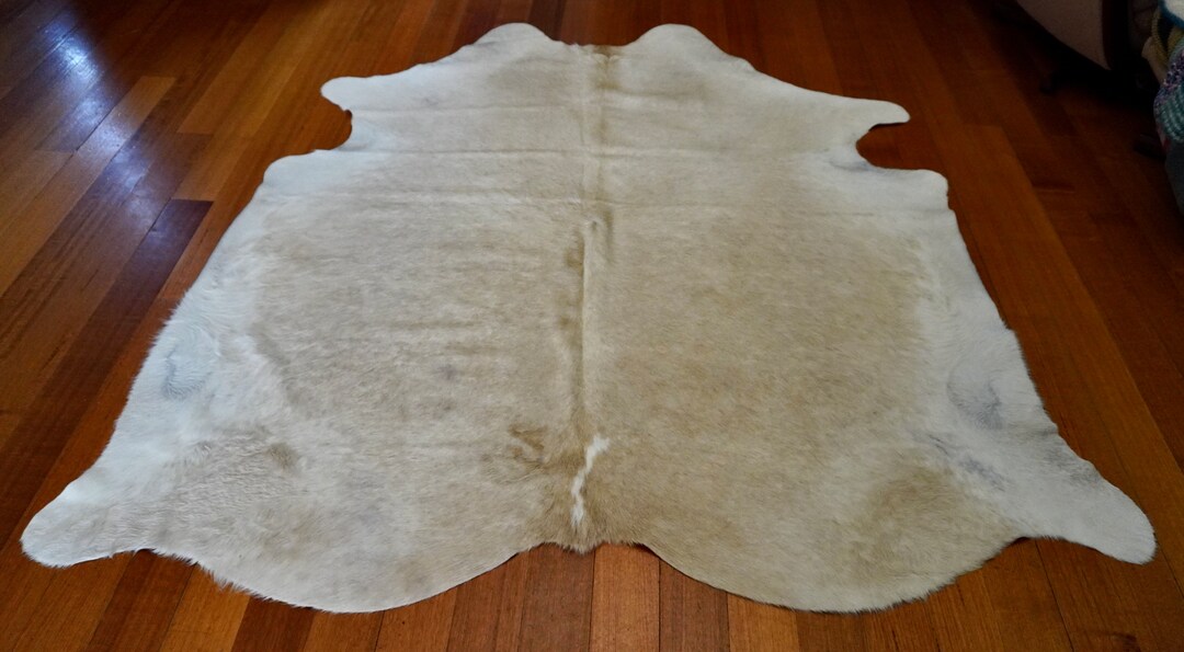 The Softest of Fawn Colours and the Softest of Hides - A Totally ...