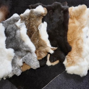 May include: A collection of eight rabbit fur pelts in various colors, including white, gray, brown, and black. The pelts are arranged in a row, with the white pelts at the front and the darker pelts at the back.