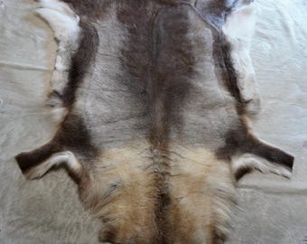 XXXL スカンジナビア産トナカイ皮 北欧産トナカイ皮 フィンランド産