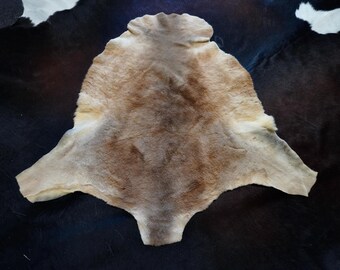 Kangaroo Hide Rug Australian Kangaroo Skin Rug: Red Ochre Tanned Hide - Etsy