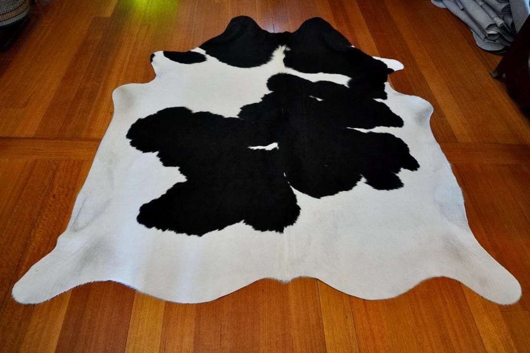 Fresh White & Jet Black - Beautiful Markings - A Lovely Friesian ...