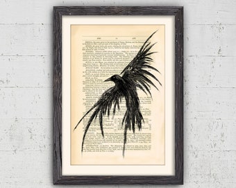 Rabe Druck, gothic Wohnkultur, Hexerei Druck, Wohnkultur, Rabe, Krähe Kunst, Zeichnung Druck, Tier Drucke, Drucke Wandkunst, Wandkunst