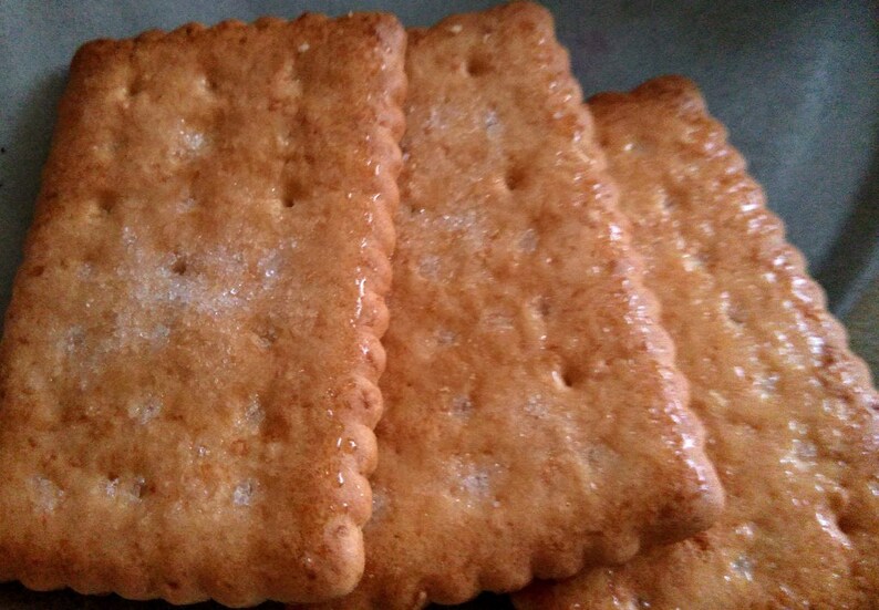 NISSIN coconut Sable Japan Long Seller Since 1965, 20pc in 1 Pack, 120g