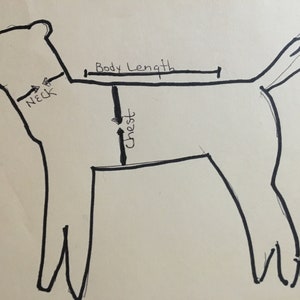 Puede incluir: Ilustraci&oacute;n dibujada a mano de un perro con puntos de medici&oacute;n etiquetados para el cuello, el pecho y la longitud del cuerpo. El contorno negro muestra la silueta del perro, con flechas que indican d&oacute;nde medir para la ropa de mascotas.