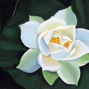 White Lotus flower original pastel painting