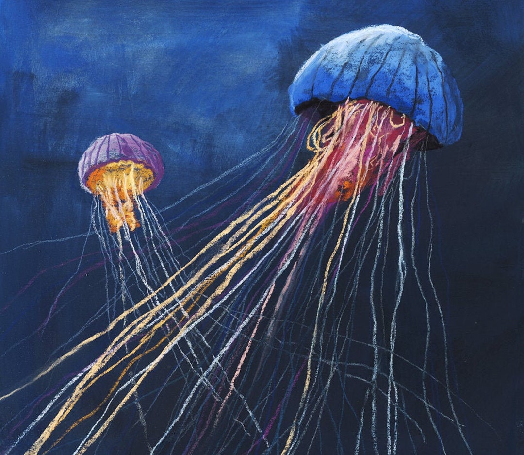 Jellyfish Pastel Painting Etsy