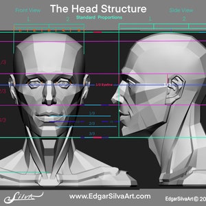 Head Structure V2.0 image 9