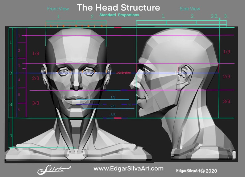 Head Structure V2.0 image 9