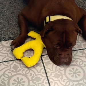 May include: A brown dog wearing a yellow collar and resting on a patterned tile floor. A bright yellow stuffed toy is next to the dog's head. The dog appears to be sleeping.