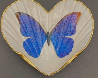 Blue Morpho Butterfly Decoupage Sea Shell Trinket Dish/Ring Holder
