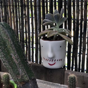 Puede incluir: Maceta de cerámica blanca con forma de cara, con una sonrisa roja y líneas marrones para un bigote. Una planta suculenta con hojas verdes y grises está creciendo en la maceta.
