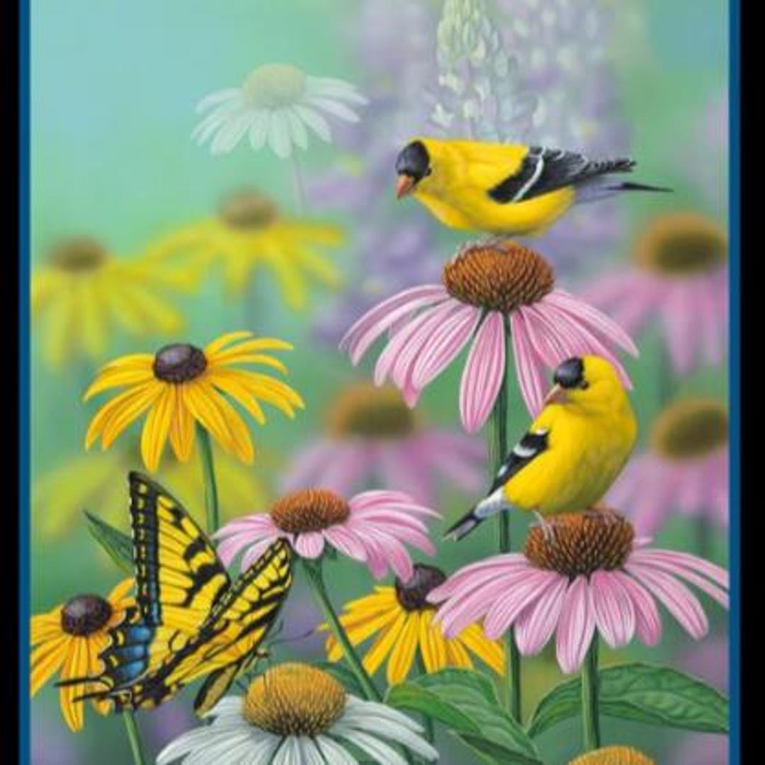 Curios Visitor Panel - Etsy