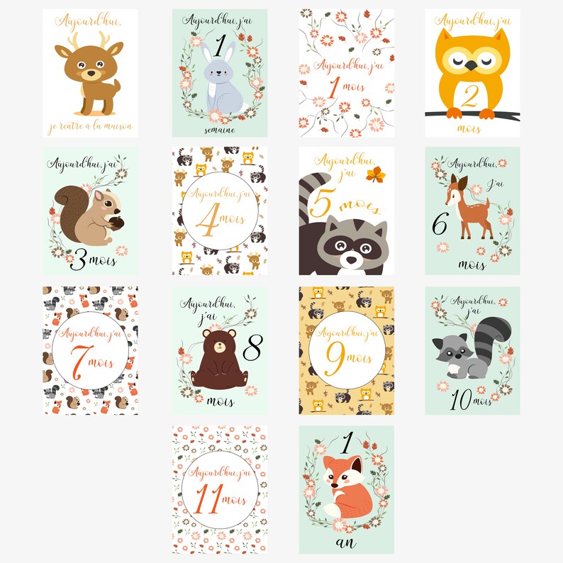 Cartões de marcos do bebê, meu primeiro ano, mês a mês, em papel fotográfico, presente de chá de bebê de nascimento ideal Animaux sauvages