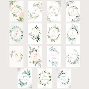 Floral pregnancy step cards month by month set of 15 glossy finish photo paper cards, 1 card to personalize