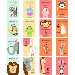 Cartões de marcos do bebê, meu primeiro ano, mês a mês, em papel fotográfico, presente de chá de bebê de nascimento ideal Animaux