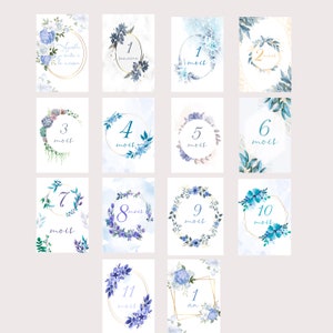 Cartões de marcos do bebê, meu primeiro ano, mês a mês, em papel fotográfico, presente de chá de bebê de nascimento ideal Floral bleu