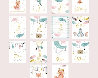 Cartes étape bébé ma première année mois par mois lot de 14 cartes en papier photo idéal cadeau naissance baby shower