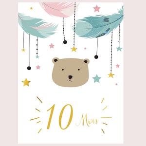 Cartes étape bébé ma première année mois par mois lot de 14 cartes en papier photo idéal cadeau naissance baby shower image 7